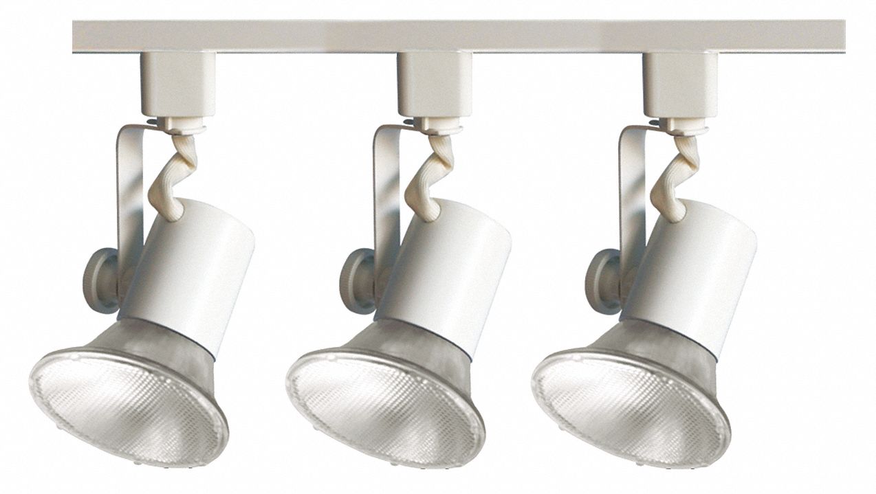 Track Fixture, 120V, 2