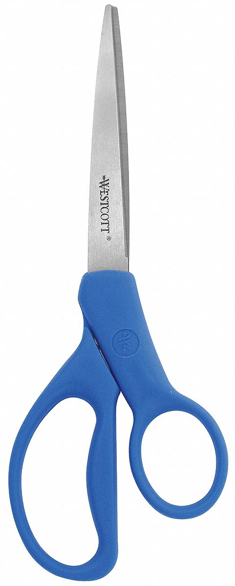 Scissors, 8 Inch, Straight