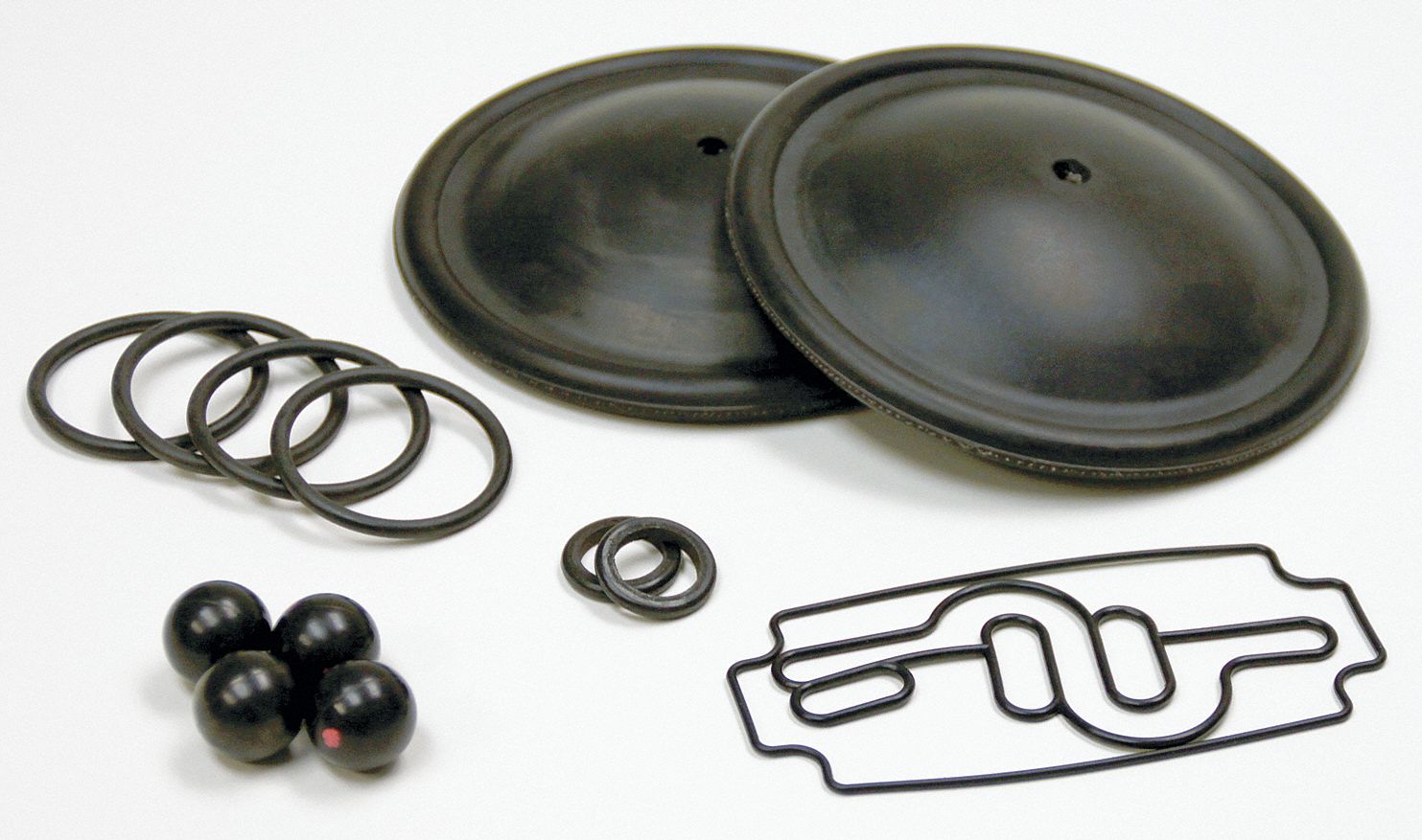 Elastomer Kit, P200 1 In Pump Buna