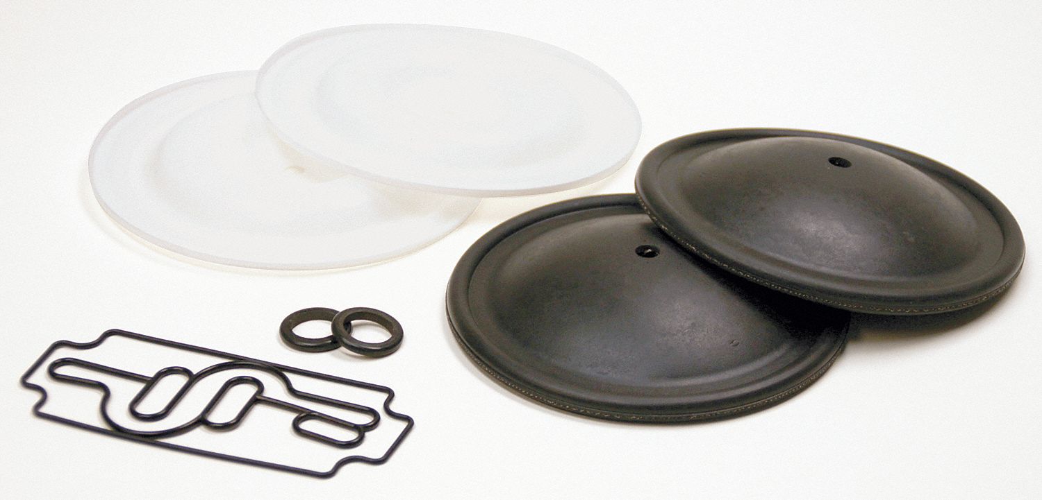 Elastomer Kit, For 1/2 In Pump, PTFE
