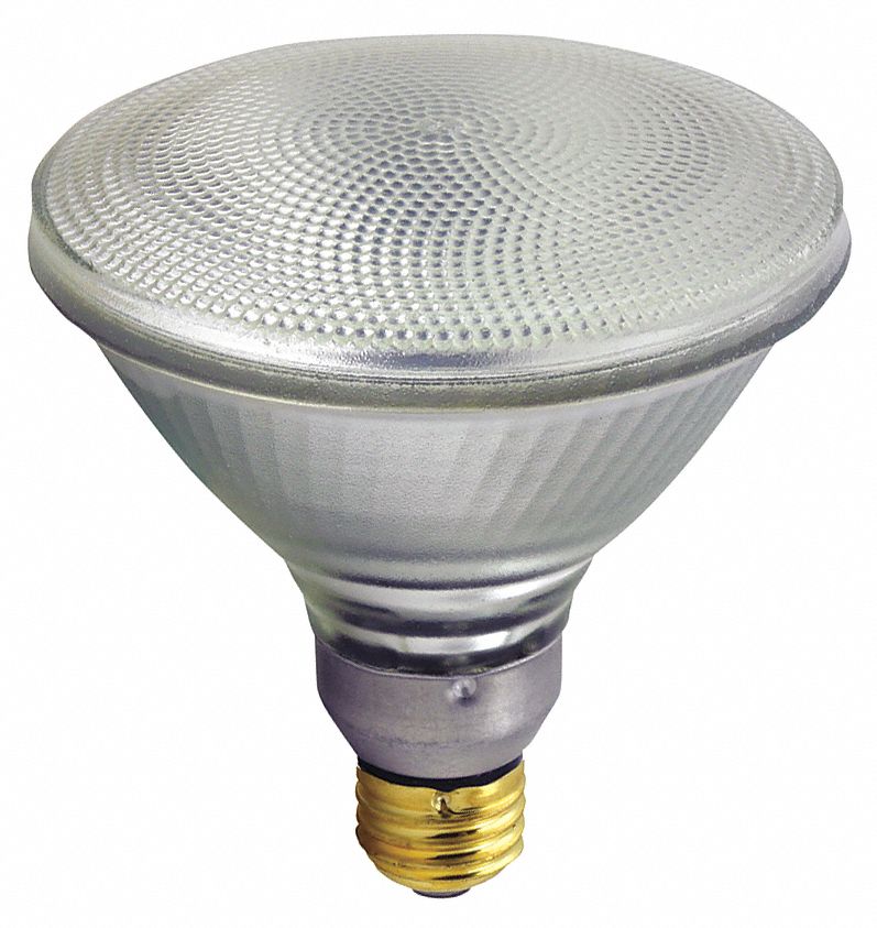 Halogen Floodlight, PAR38, 90W