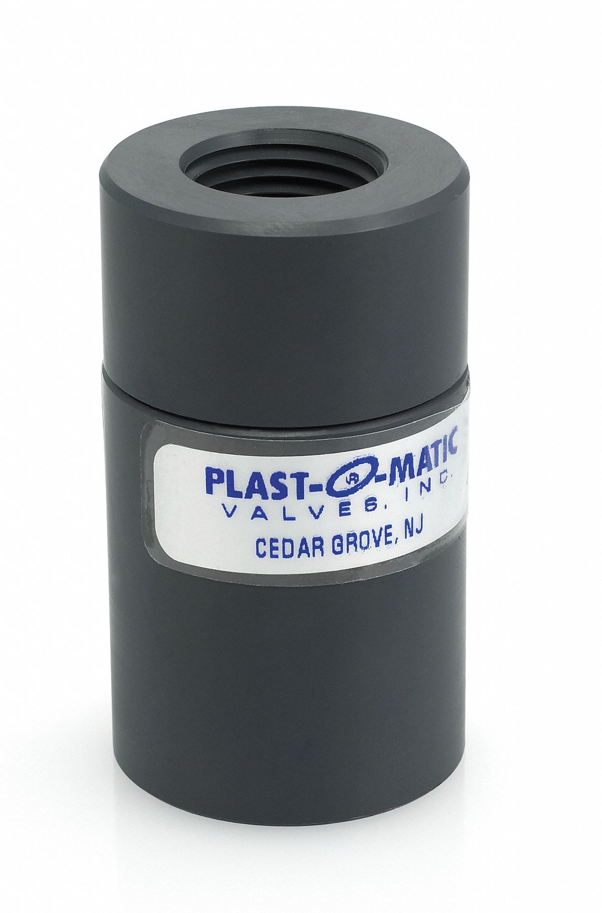Check Valve, 1/4In FNPT, PVC