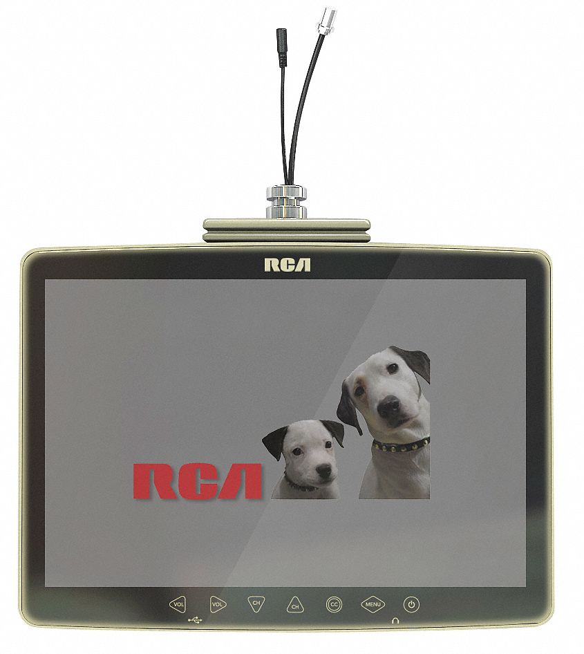 Healthcare TV, 12 In, LED