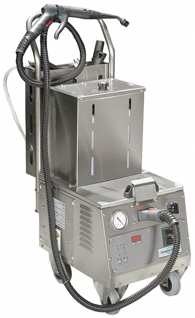 Commercial Steam Cleaner, 208V, Portable