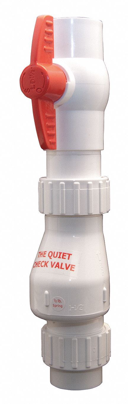 Dual-check Valve, PVC, , 2 In