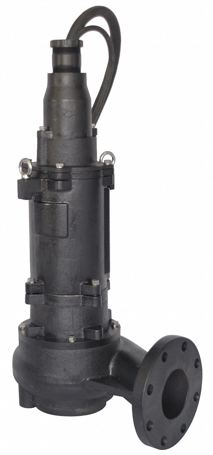 Sludge Pump, 7.5 HP, 230 Volts, 30.8 Amps