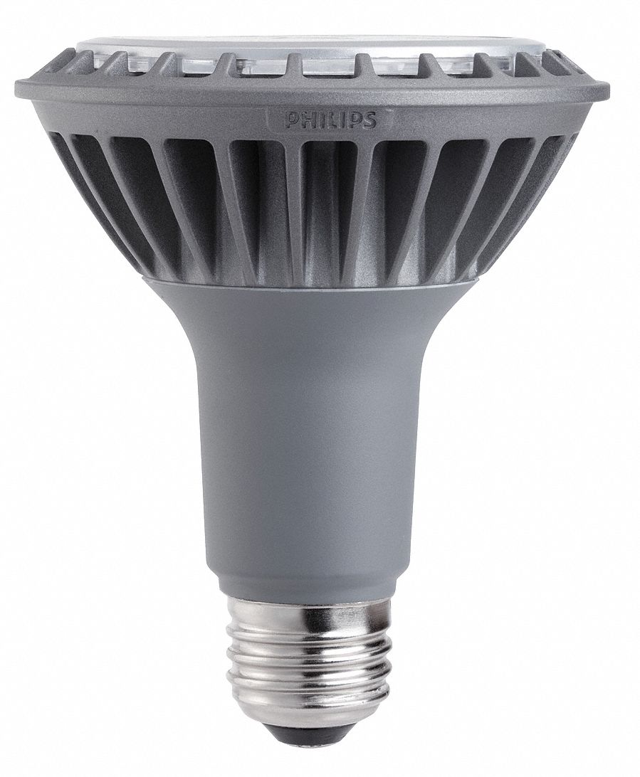LED Floodlight, PAR30L, 4100K, Cool