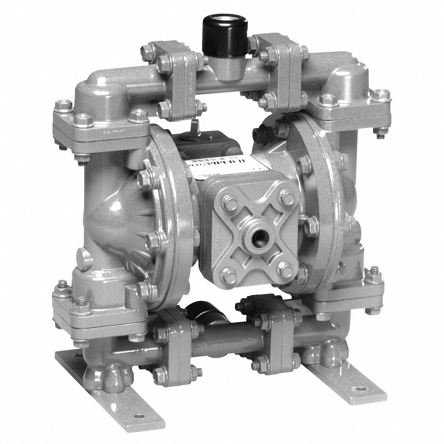 Pump, 1/2 In, SS, Buna Diaphragm