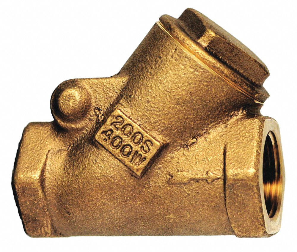Swing Check Valve, FNPT, 1/2 In
