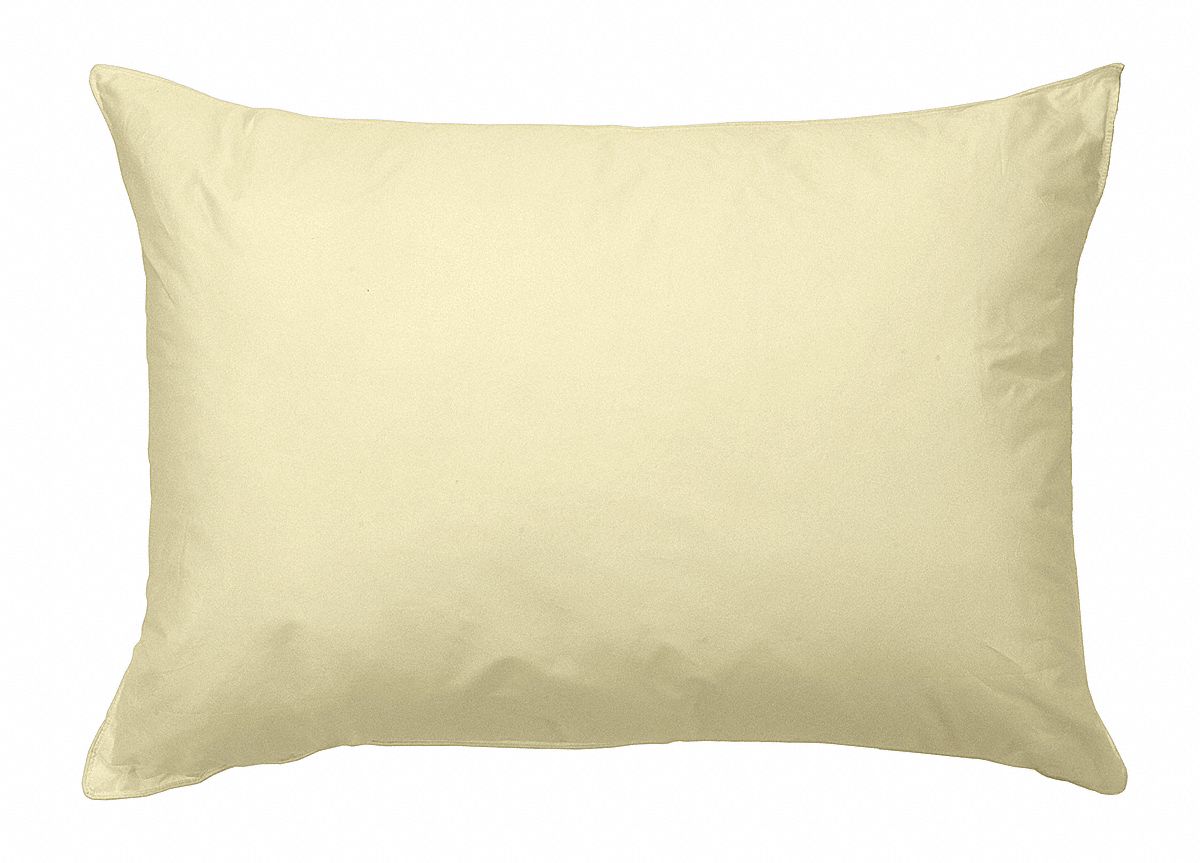 Pillow, Standard, Cream, PK 12