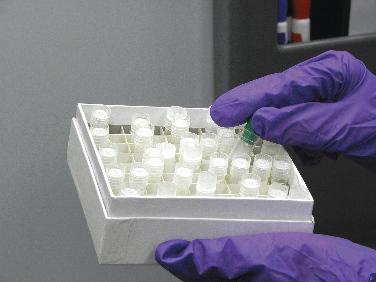 Cell Divider, 7/7 Grid, Nor-Lake Freezers