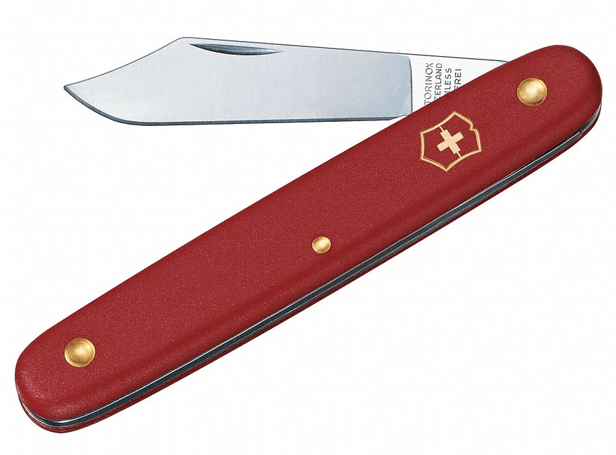 Folding Knife, Clip Point, 2-1/2 In, Red