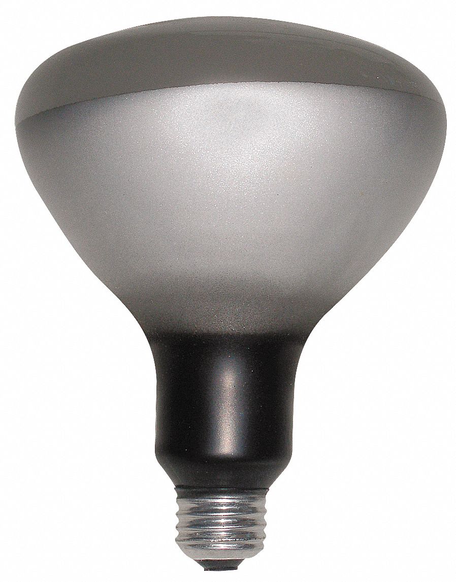 Incandescent Floodlight, R40, 300W