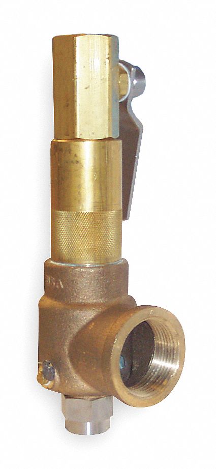 POP Safety Valve, 2 x 3 In, 450 PSI
