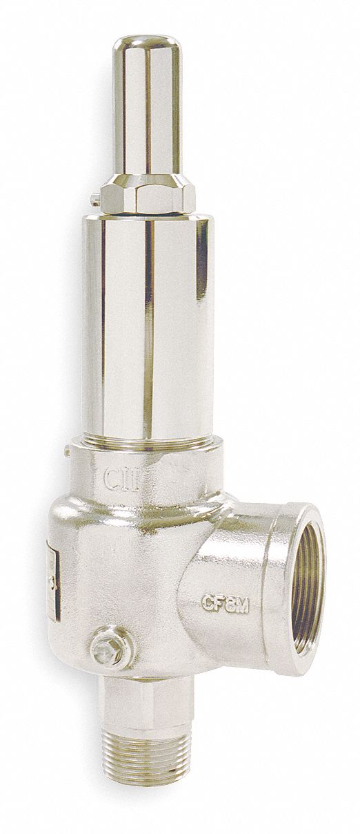 POP Safety Valve, 1 x 1-1/4 In, 300 PSI