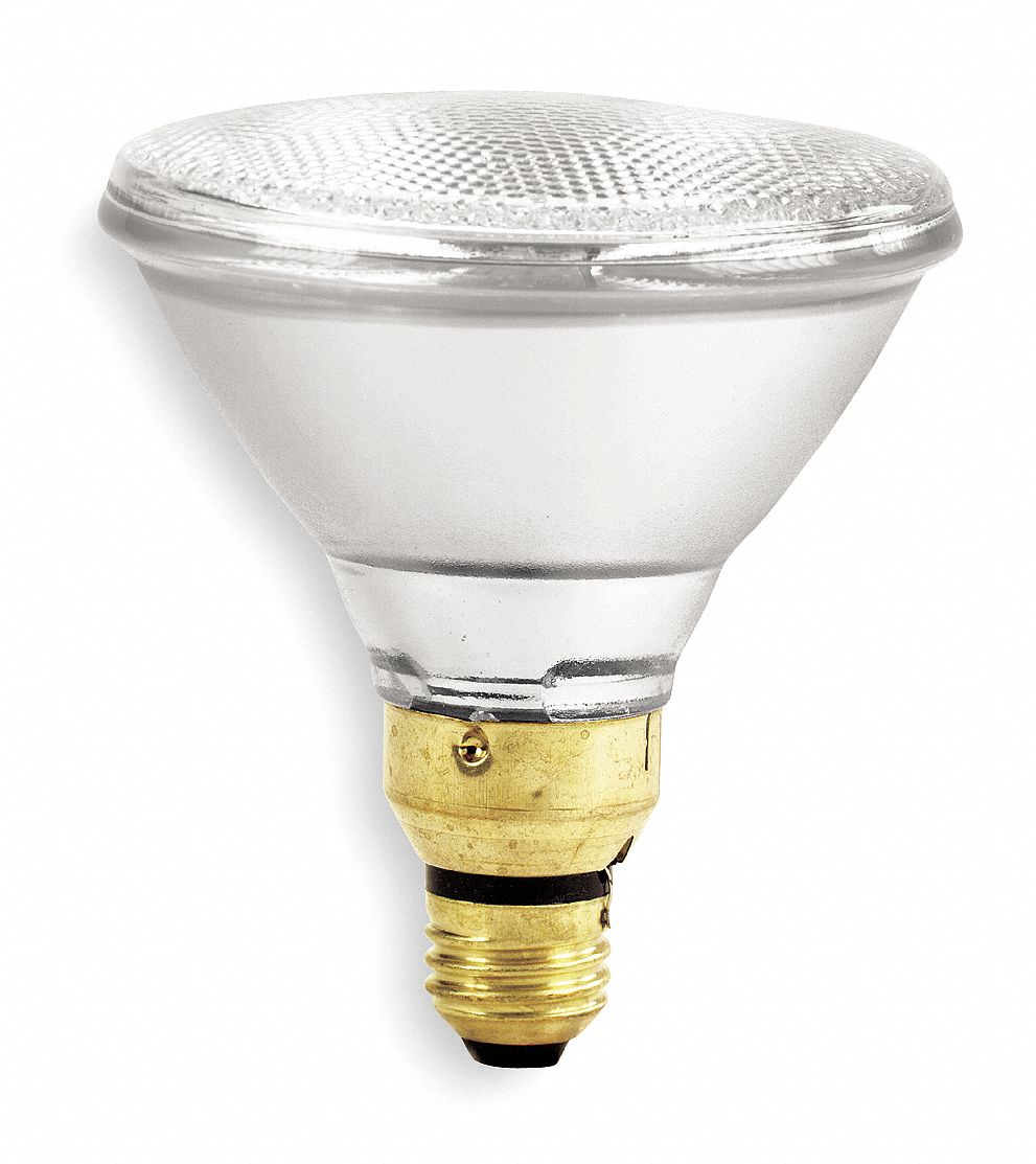 Halogen Floodlight, PAR38, 60W