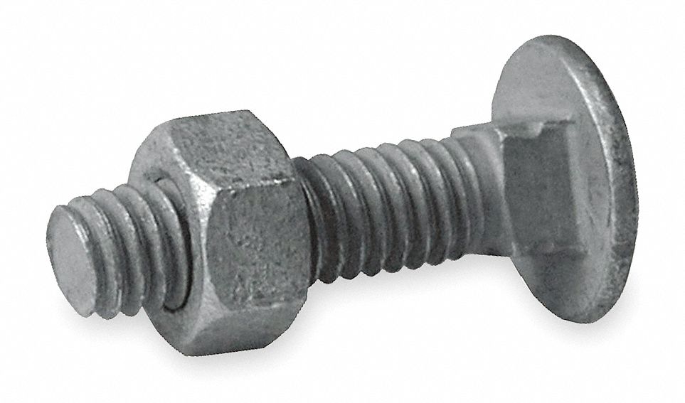 Carriage Bolt w/Nut, 1-1/4 In. L, PK 20