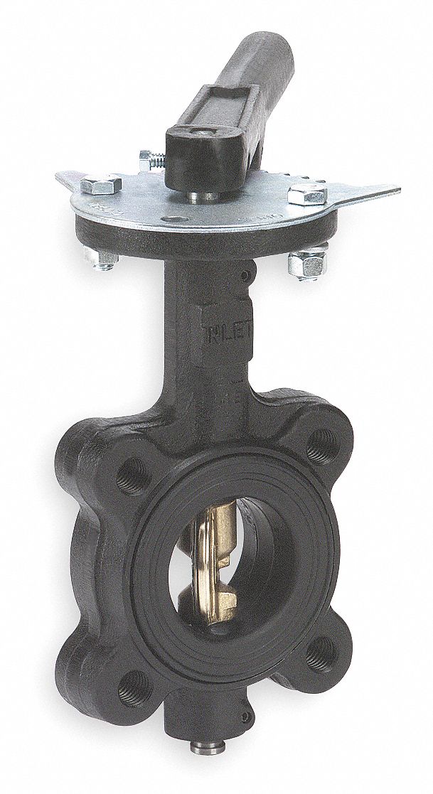 Butterfly Valve, Lug, 2 1/2 In, EPDM Liner