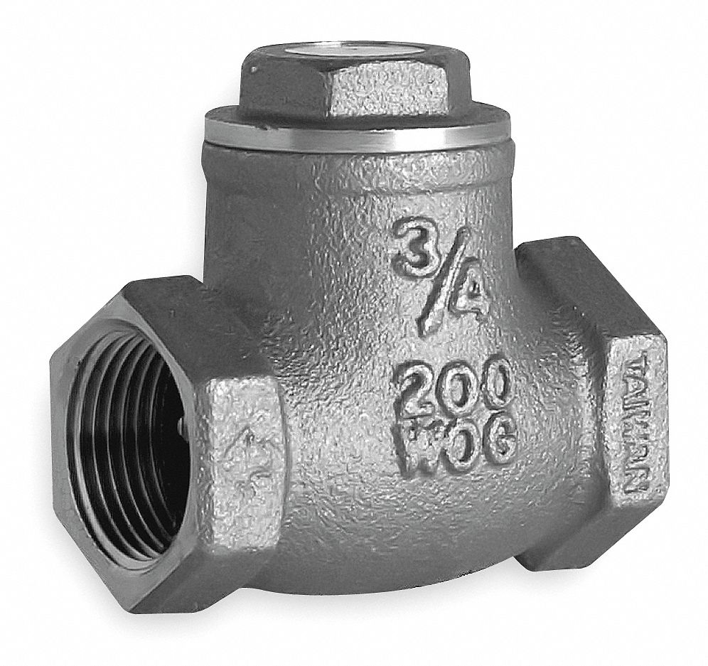 Swing Check Valve, 1-1/4 In, FNPT, Brass