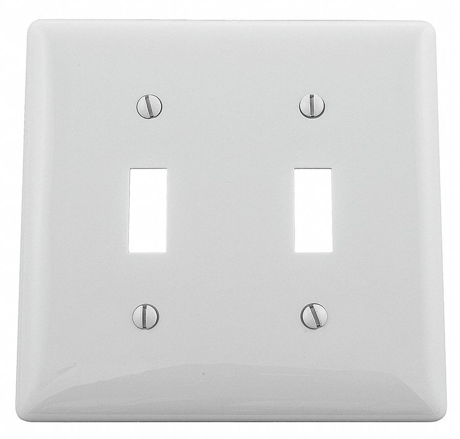 Wall Plate, Switch, 2Gang, White