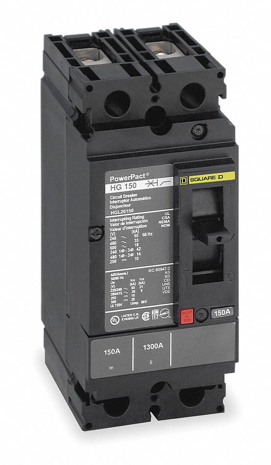 Circuit Breaker, Lug In/Lug Out, 125A, 600V