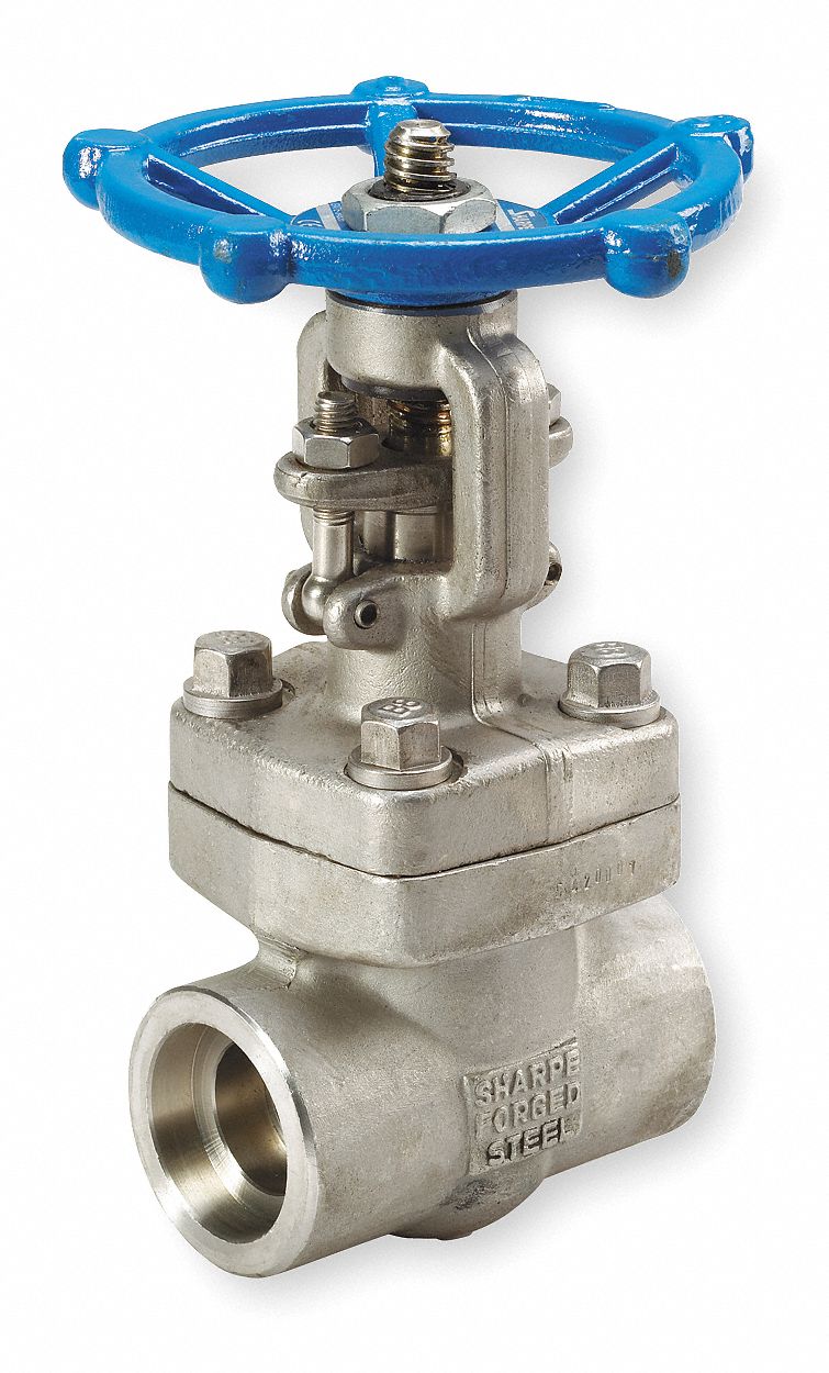Gate Valve, 316L SS, 2 In Socket Weld