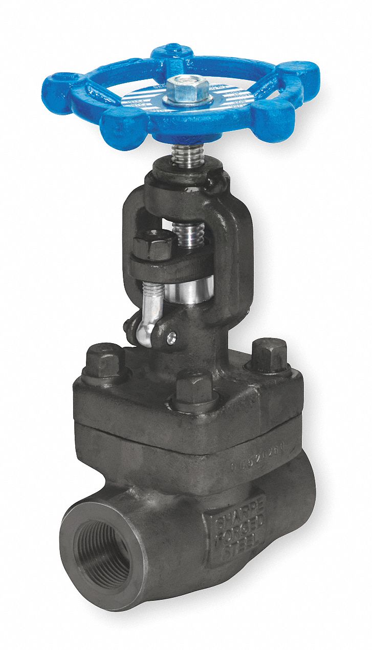 Globe Valve, Carbon Steel, 2 In