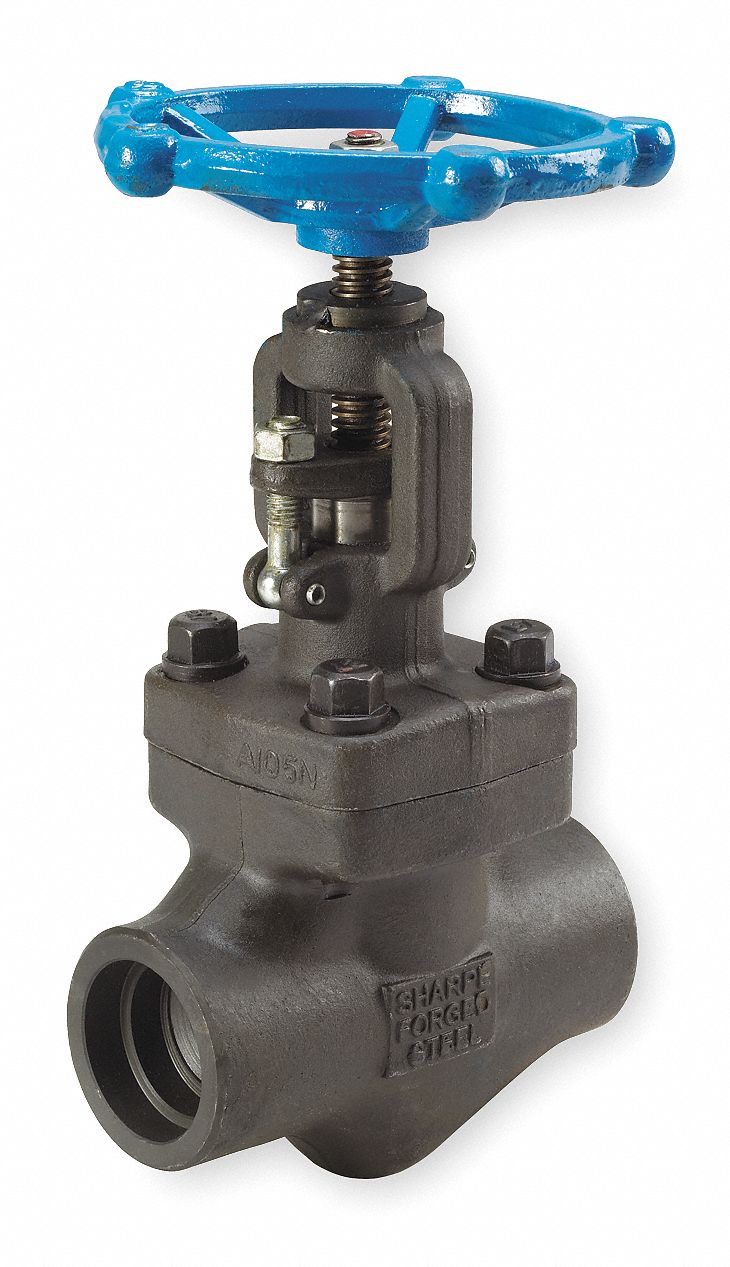 Globe Valve, Carbon Steel, 3/8 In