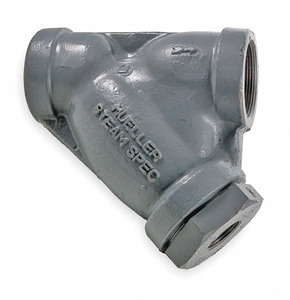Y Type Strainer, Cast SS Steel, 1 In