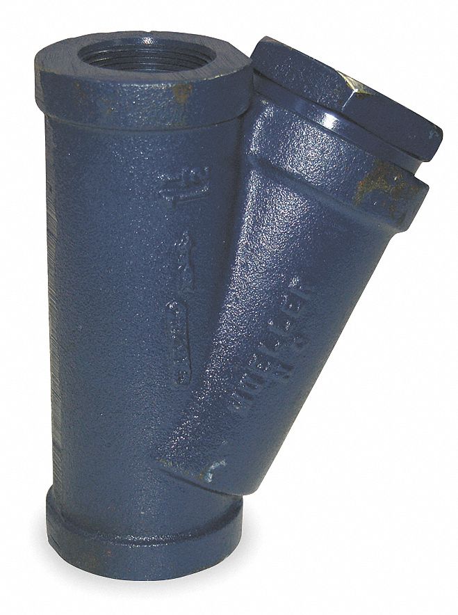 Y Type Strainer, Ductile Iron, 1 In