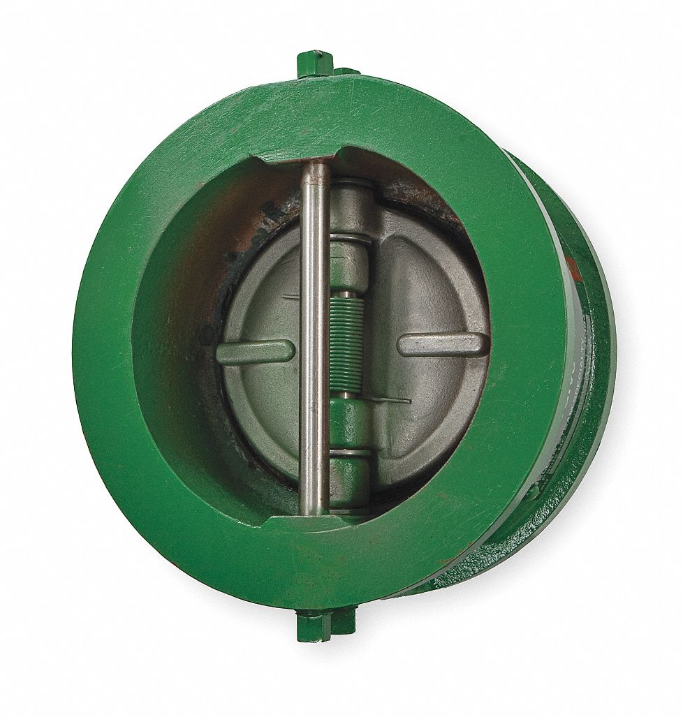 Double Disc Check Valve, 3 In, Flange, Iron