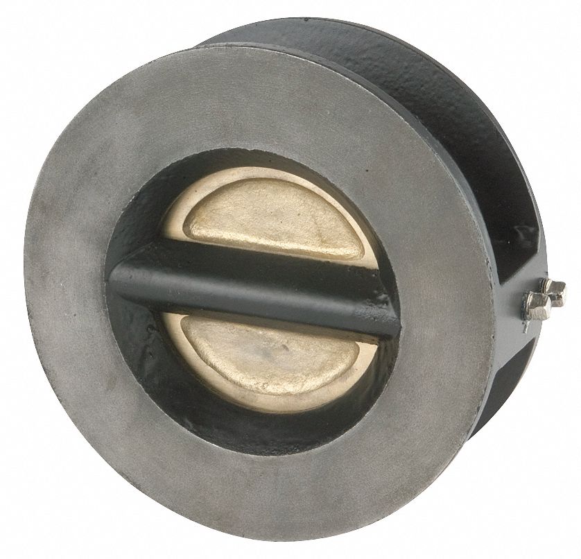 Double Disc Check Valve, 8 In, Flange, Iron