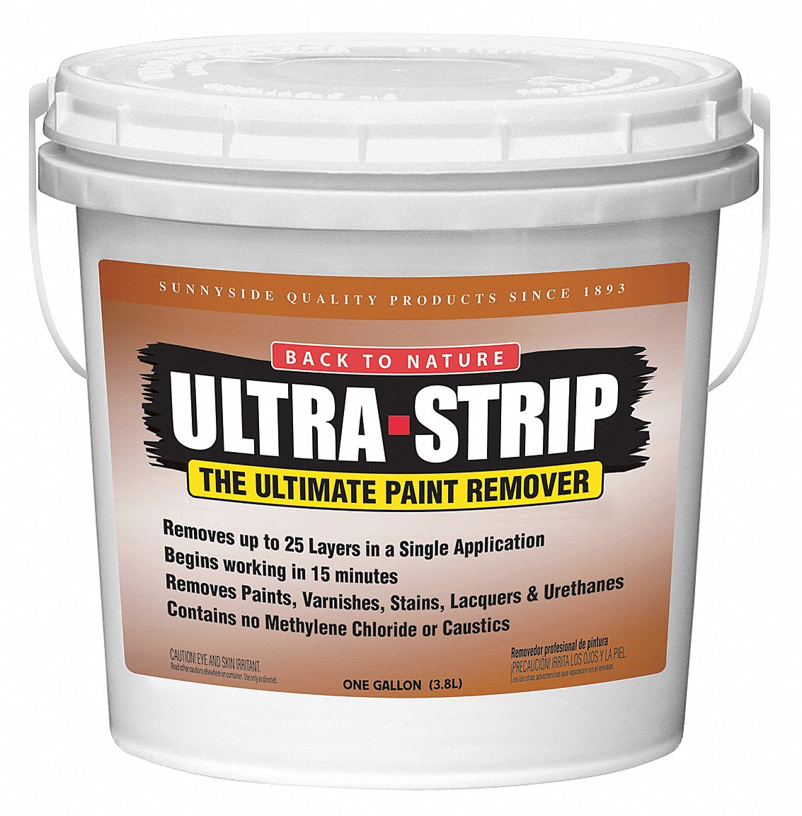 Paint and Varnish Remover, 1 gal.