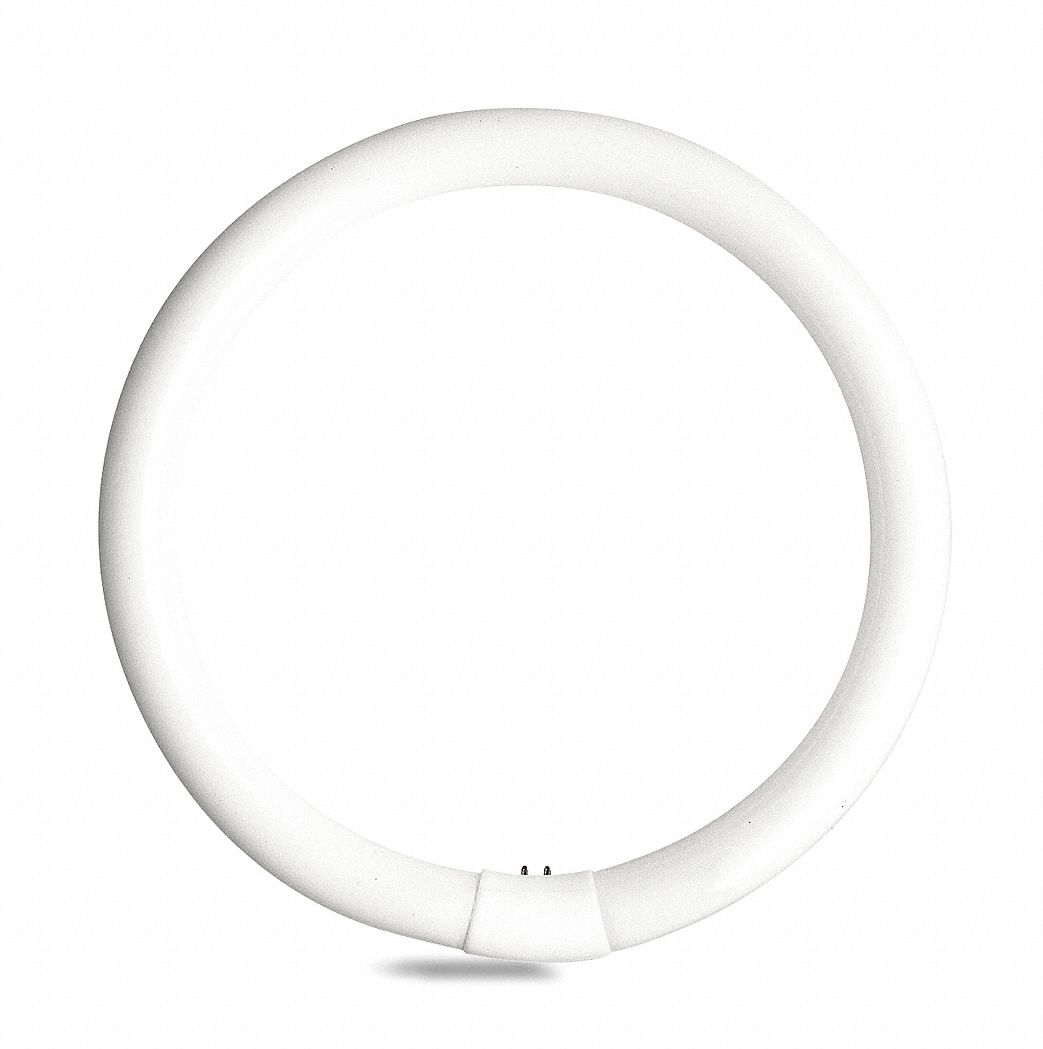 Circular Fluorescent Lamp, T9, 4100K, 12 In
