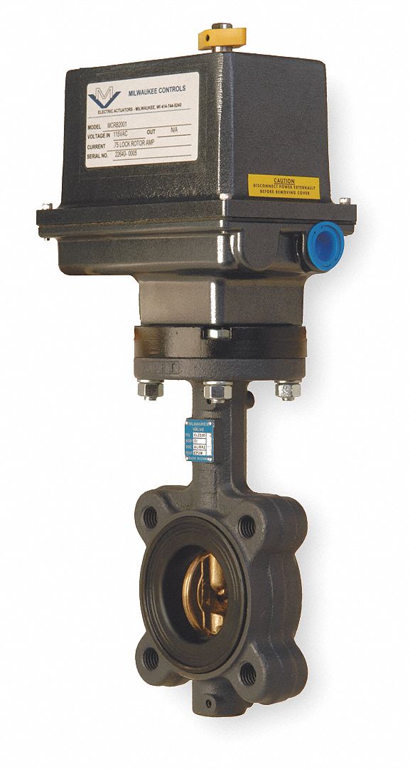 Butterfly Valve, Electronic, 8 In