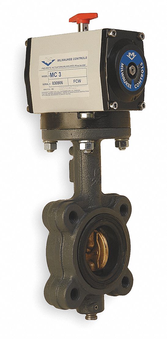 Butterfly Valve, Spring Return, 8 In