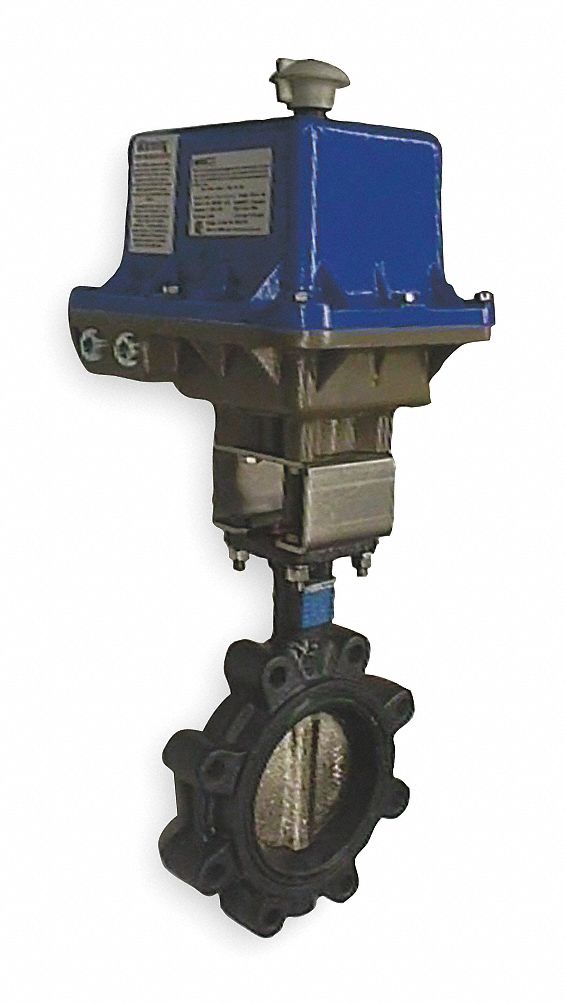 Butterfly Valve, Electronic, 2 1/2 In, Iron