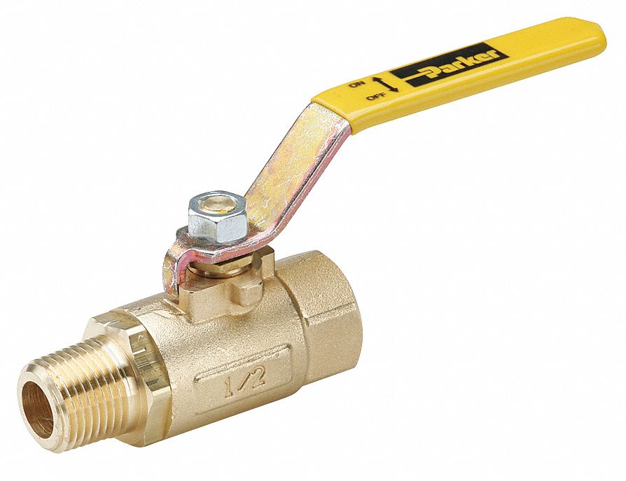 Ball Valve, MNPT x FNPT, 1/2 In