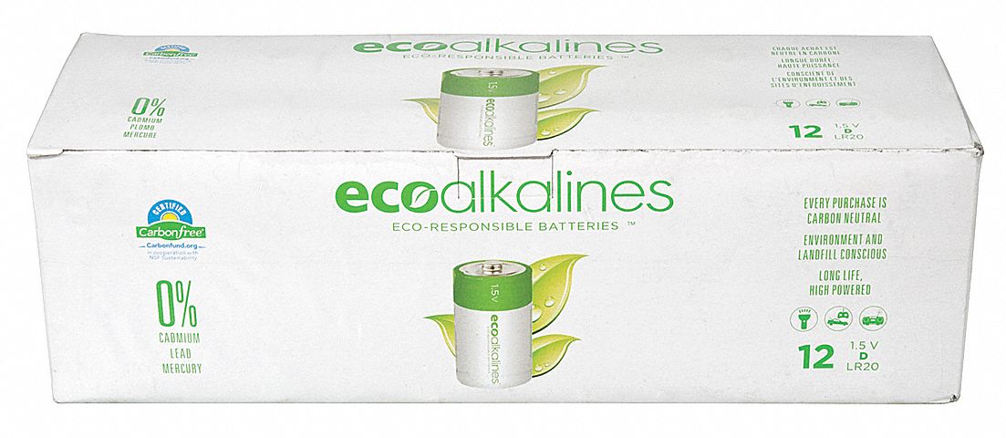 Battery, Disposable Alkaline, PK 12