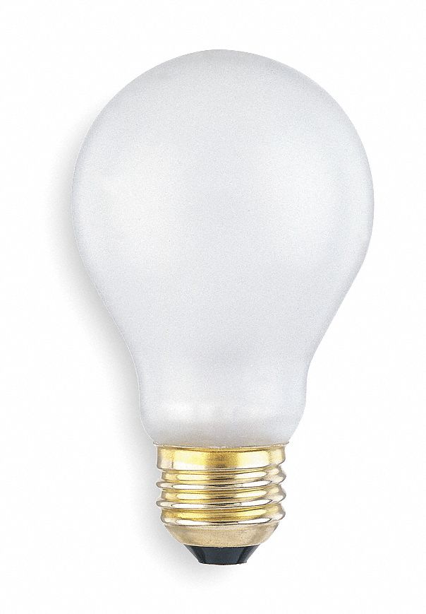 Incandescent Light Bulb, A19, 75W, PK6