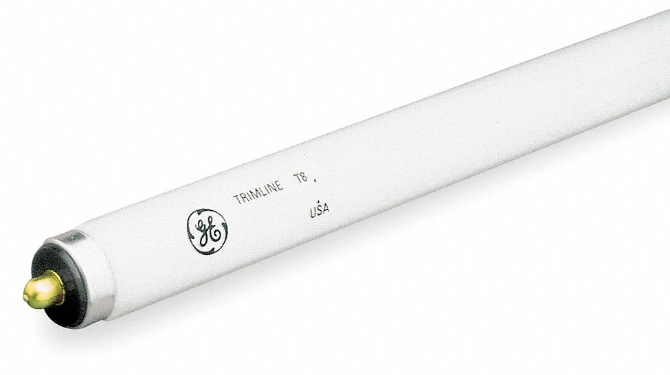 Fluorescent Linear Lamp, T8, Cool, 4100K