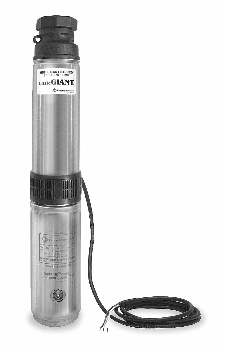 Pump, High Head Filtered Effluent, 10GPM