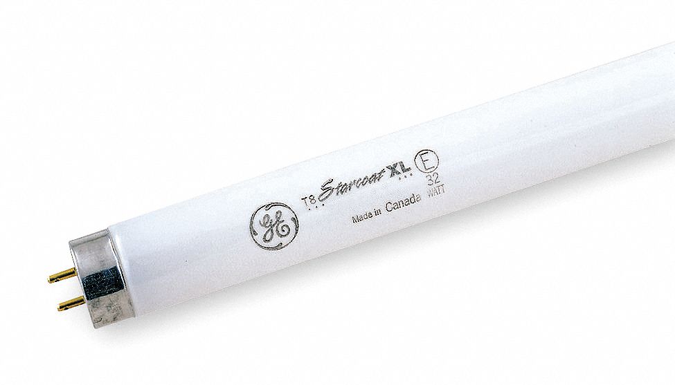 Fluorescent Lamp, T8, Very Cool, 5000K