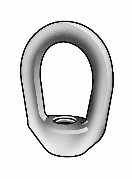 Nut, Eye, 5/16-18 In, SS