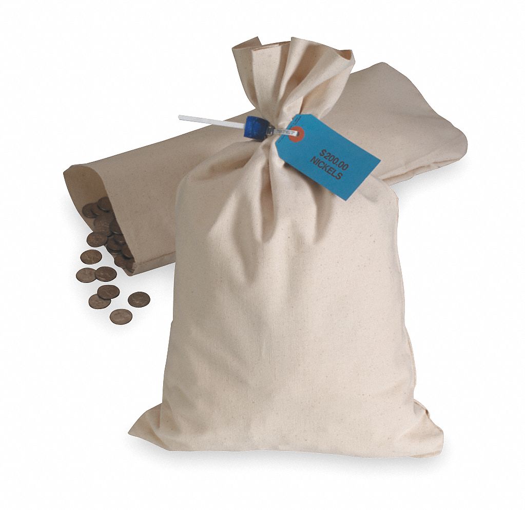 Currency Bag19x12, Silver