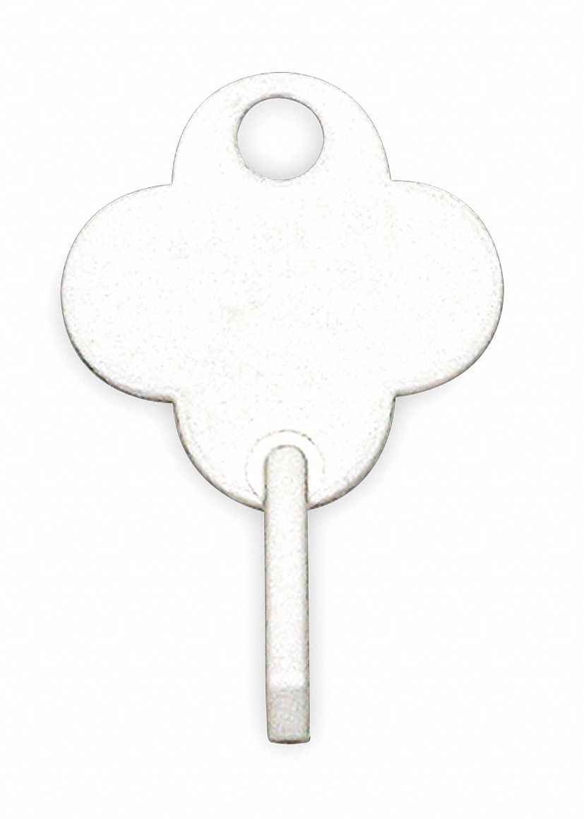 Replacement Key Tag, White, PK 100