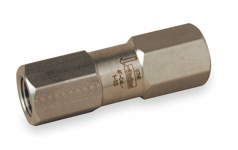 Check Valve, 1/4 In, FNPT, 316 SS