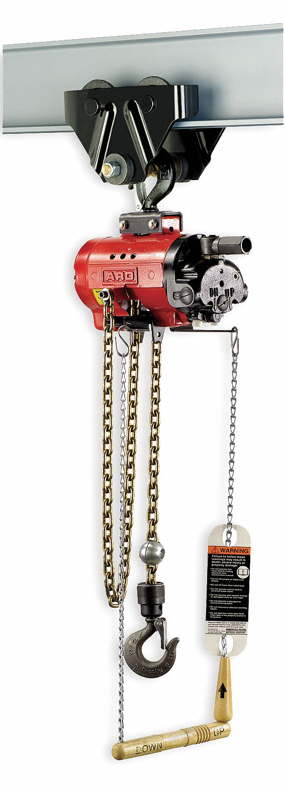 Air Chain Hoist, 2200 lb. Cap., 10 ft. Lft