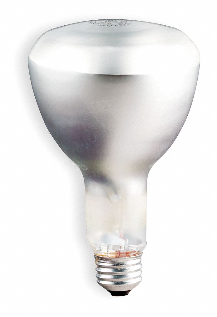 Incandescent Floodlight, ER30, 50W