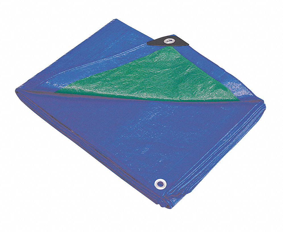 Tarp, Polyethylene, Blue/Green, 10x12Ft